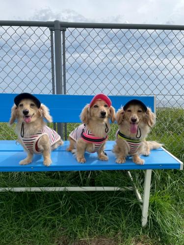 うめちゃんさん