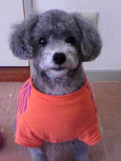 ここなっつさん